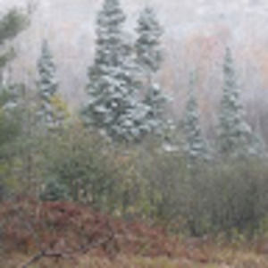 Meet your Posher, Hannah ziemba